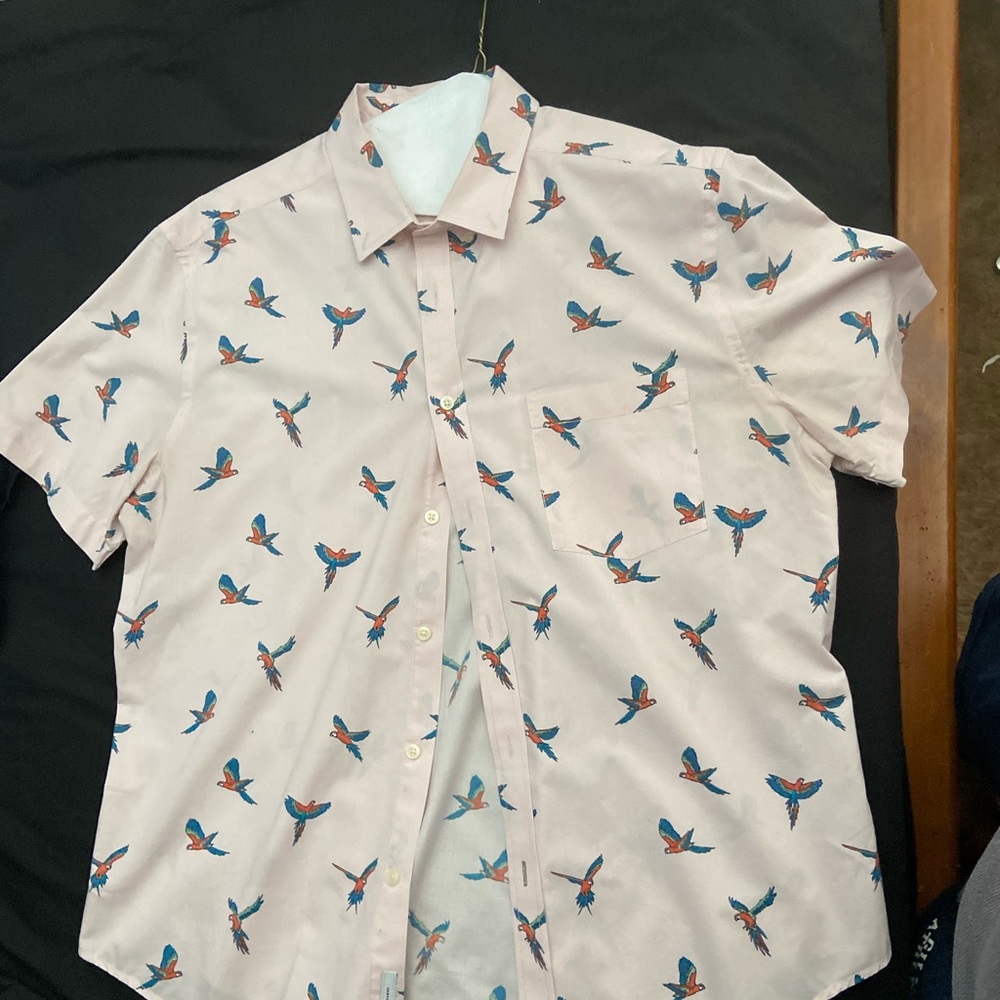 Graphic button up